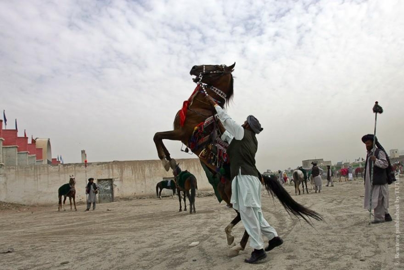 Around the world: how Independence Day is celebrated in different countries Around the world: how Independence Day is celebrated in different countries