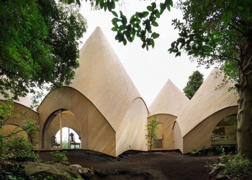 Arquitecto japonés construyó una casa de ensueño para hombres de negocios jubilados