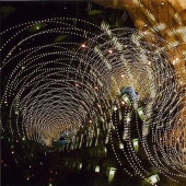 At night they wake up