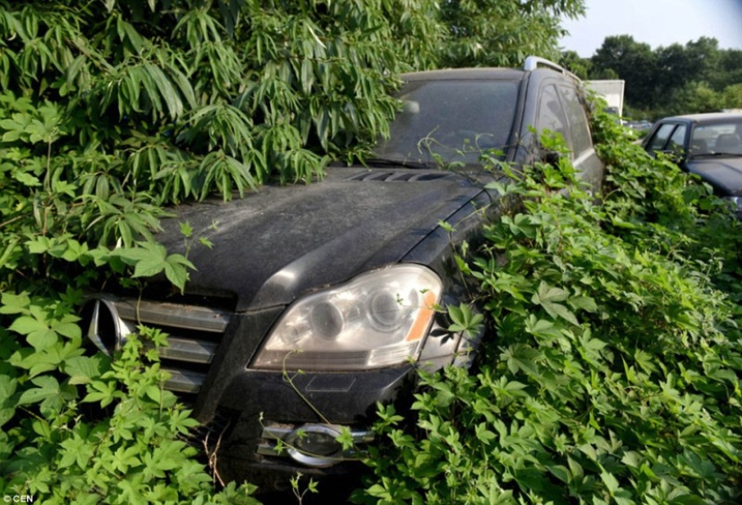 At the Chinese cemetery of luxury cars