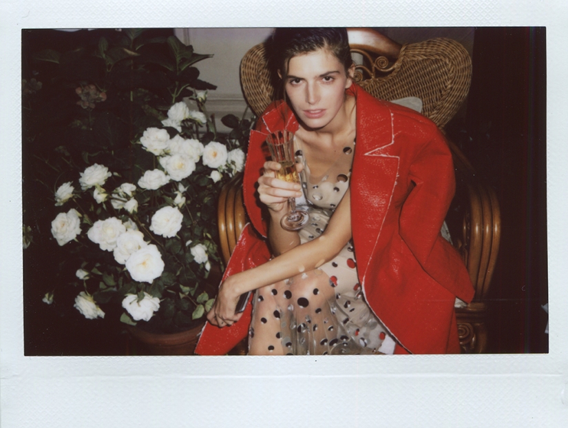 Atrápame si puedes Atrápame si puedes