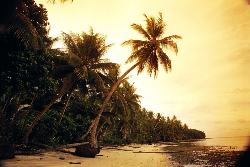 Australian wins Tropical island in online lottery