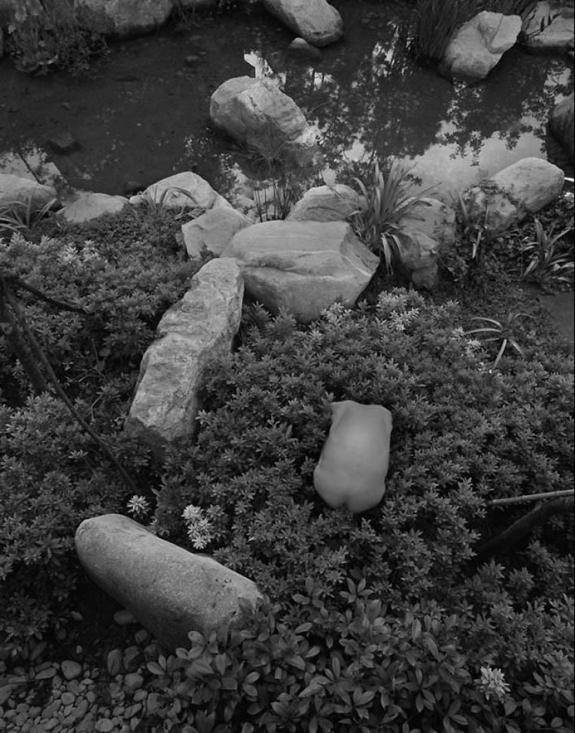 Autorretratos inusuales de Arno Minkkinen Autorretratos inusuales de Arno Minkkinen