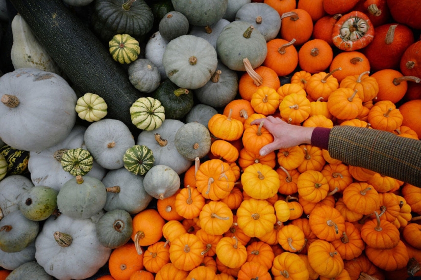 Autumn is in the air