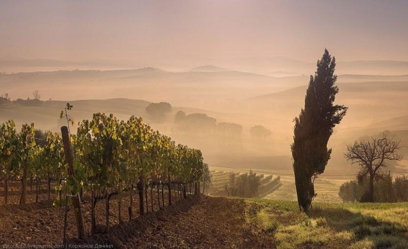 Autumn Tuscany