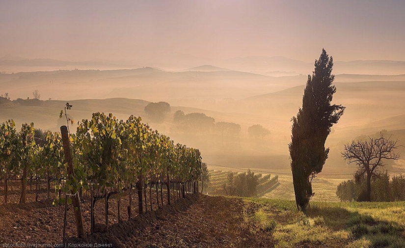 Autumn Tuscany