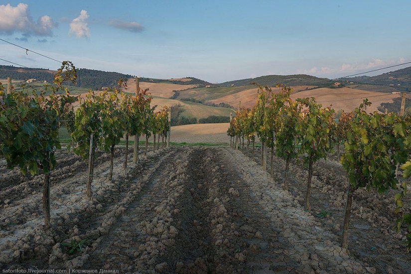 Autumn Tuscany