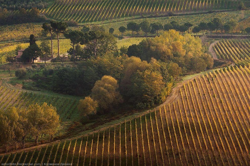 Autumn Tuscany