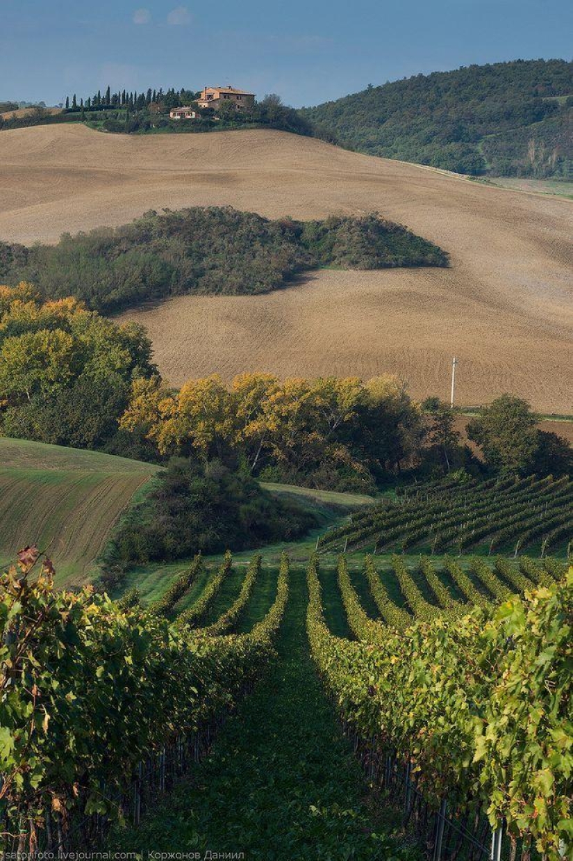 Autumn Tuscany