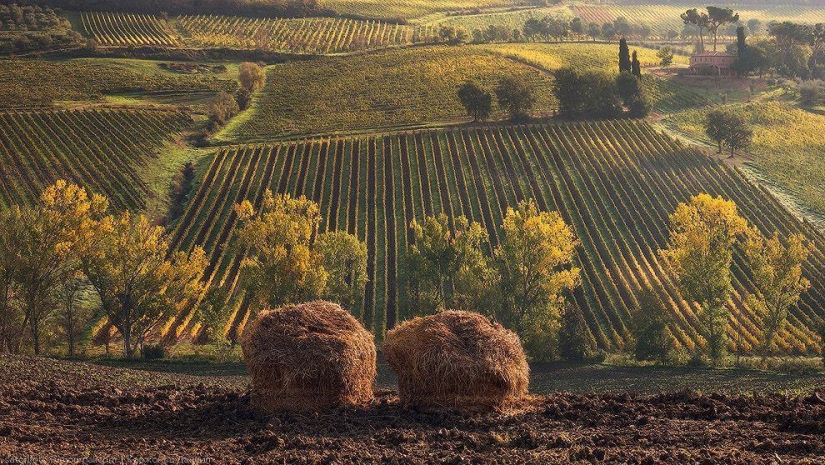 Autumn Tuscany