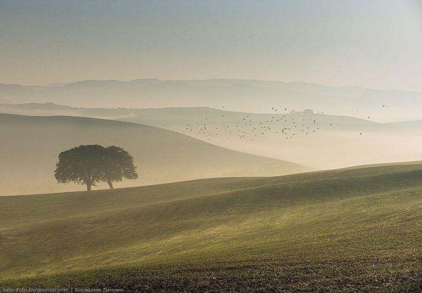 Autumn Tuscany