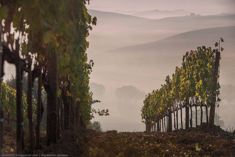 Autumn Tuscany