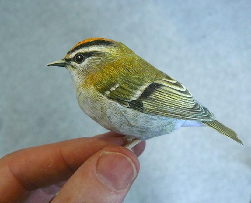 Aves de papel 3D increíblemente realistas