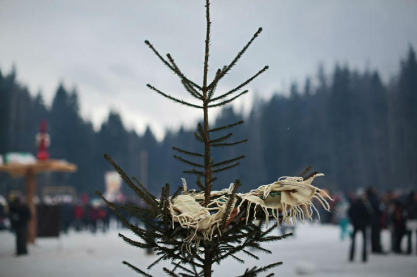 "Bakshevskaya Maslitsa" in a secret glade in the Moscow region