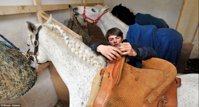 Ballet school for horses