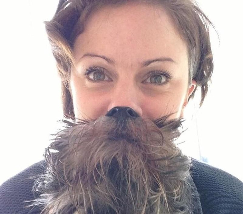 barbas de perro