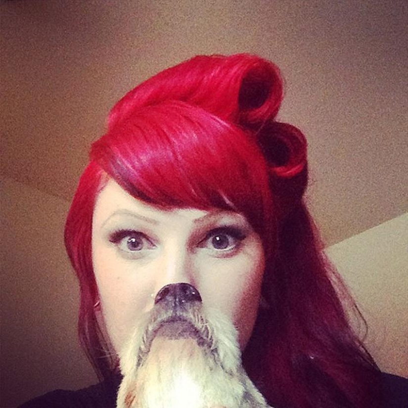 barbas de perro