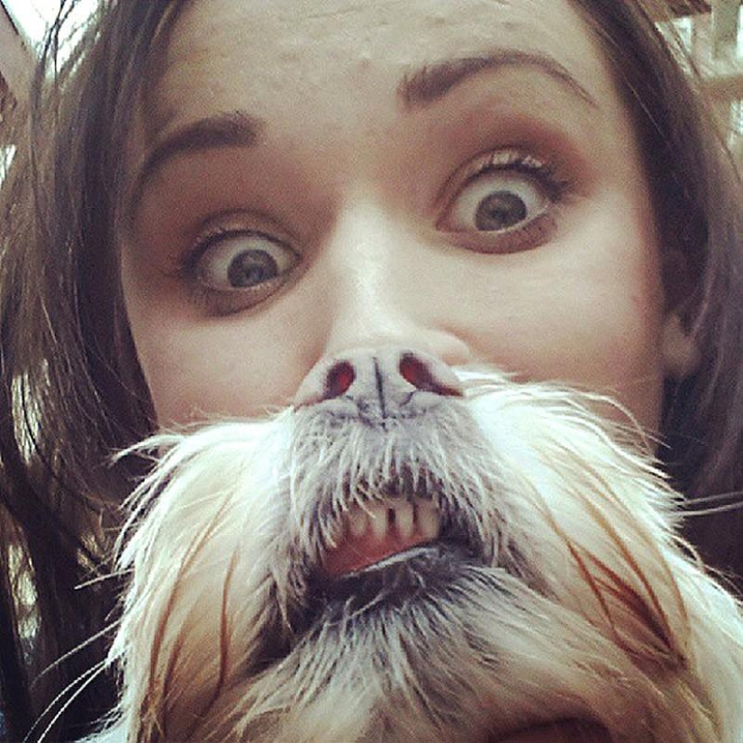 barbas de perro