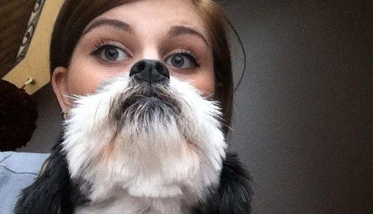 barbas de perro