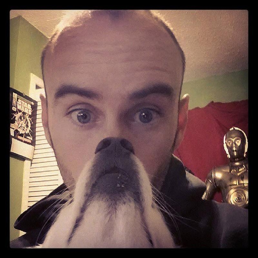 barbas de perro