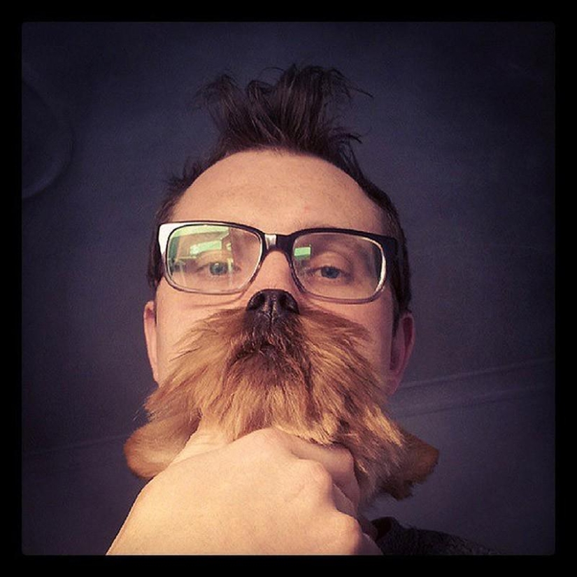 barbas de perro
