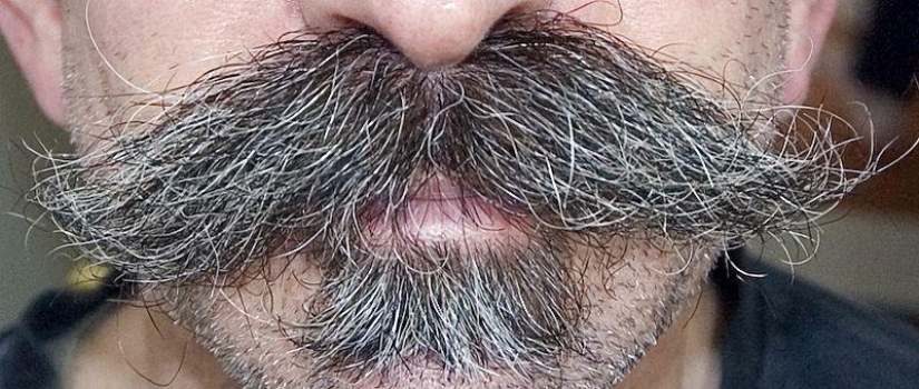 Barbas inusuales que seguramente llamarán la atención. Barbas inusuales que seguramente llamarán la atención.