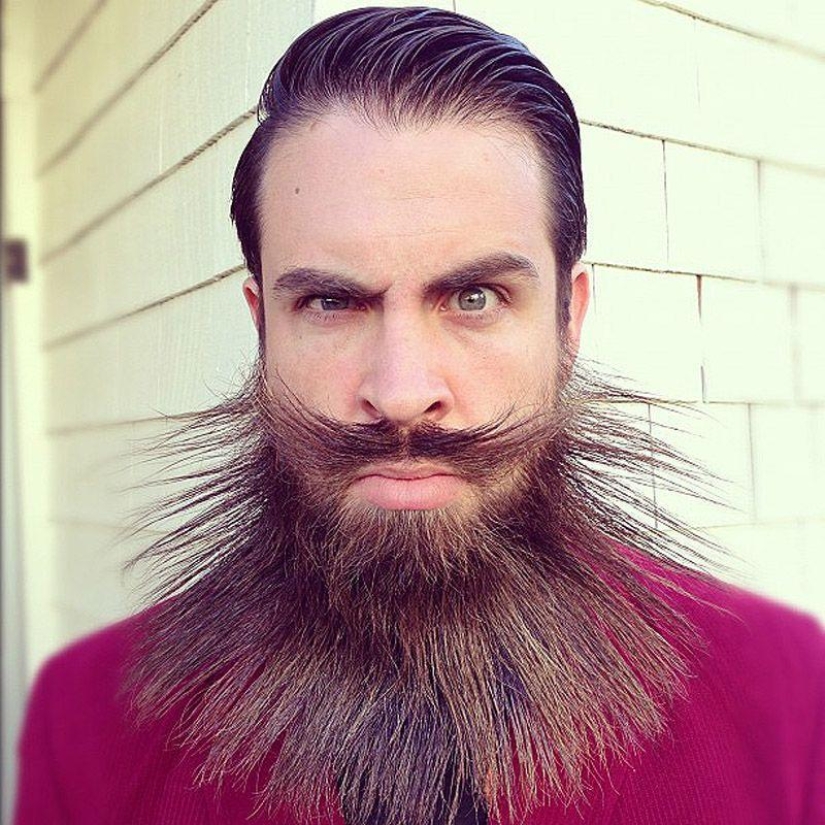 Barbas inusuales que seguramente llamarán la atención. Barbas inusuales que seguramente llamarán la atención.