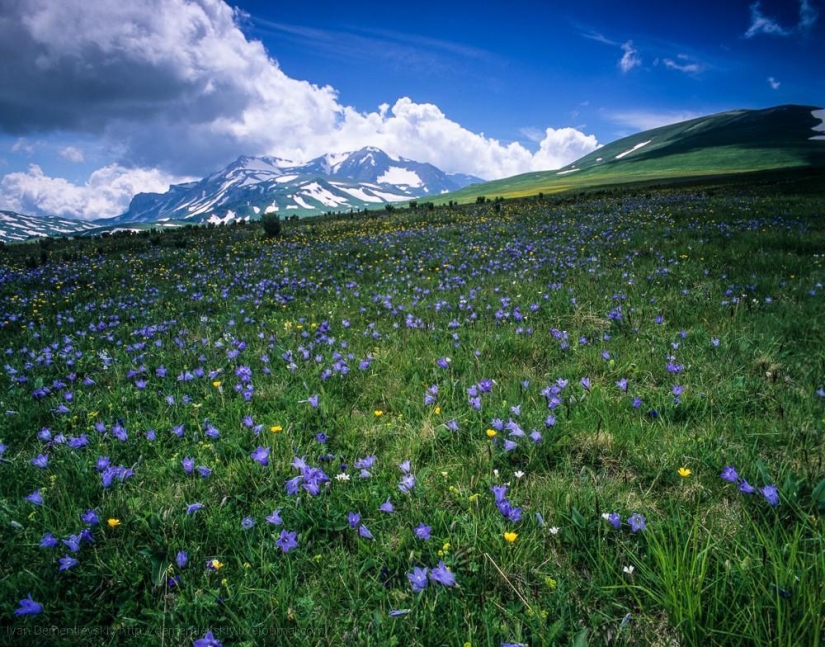 Beautiful film landscapes by Ivan Dementievsky