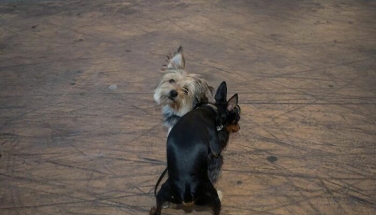 Beauty In Simplicity: 10 Beautiful Photos By Dimitris Makrygiannakis That May Resonate With You Beauty In Simplicity: 10 Beautiful Photos By Dimitris Makrygiannakis That May Resonate With You