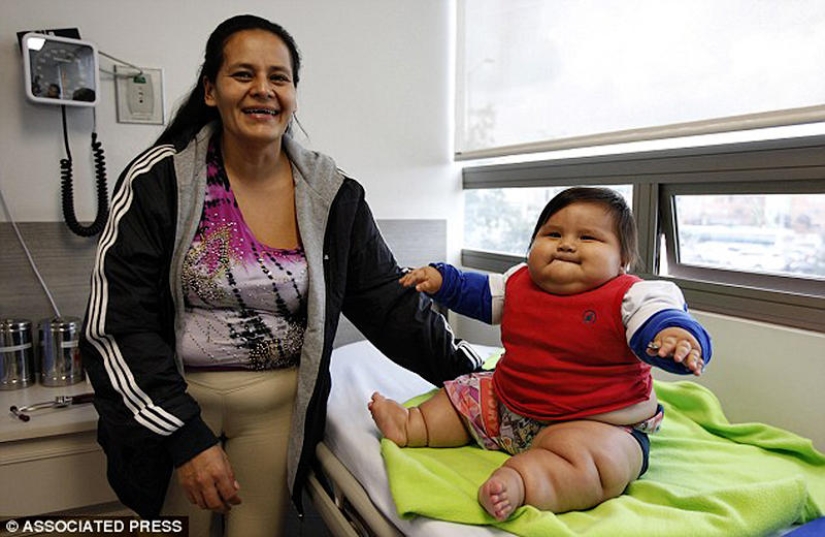 Bebe obeso de 8 meses es arrebatado a sus padres Bebe obeso de 8 meses es arrebatado a sus padres