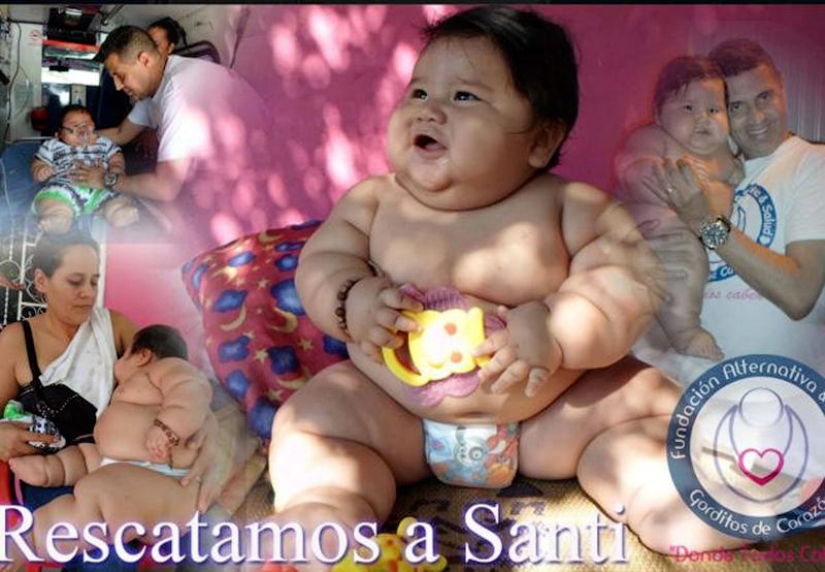 Bebe obeso de 8 meses es arrebatado a sus padres Bebe obeso de 8 meses es arrebatado a sus padres