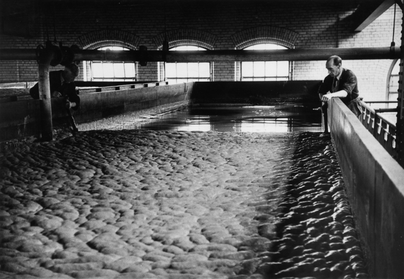 Beer love post: how real Guinness was brewed