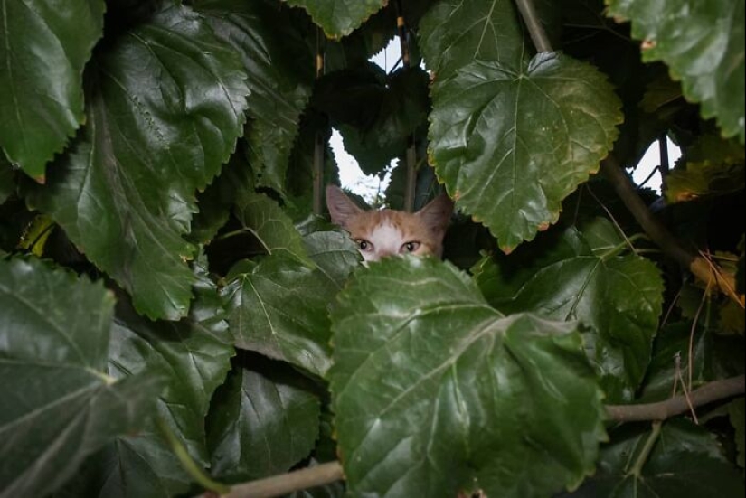 Belleza en la simplicidad: 10 hermosas fotografías de Dimitris Makrygiannakis que pueden resonar contigo Belleza en la simplicidad: 10 hermosas fotografías de Dimitris Makrygiannakis que pueden resonar contigo