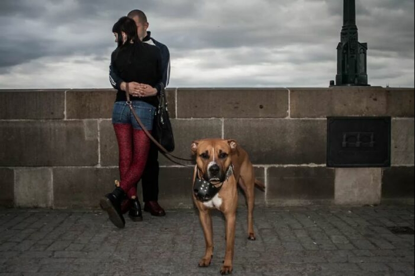 Belleza en la simplicidad: 10 hermosas fotografías de Dimitris Makrygiannakis que pueden resonar contigo Belleza en la simplicidad: 10 hermosas fotografías de Dimitris Makrygiannakis que pueden resonar contigo