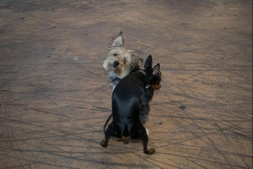 Belleza en la simplicidad: 10 hermosas fotografías de Dimitris Makrygiannakis que pueden resonar contigo Belleza en la simplicidad: 10 hermosas fotografías de Dimitris Makrygiannakis que pueden resonar contigo