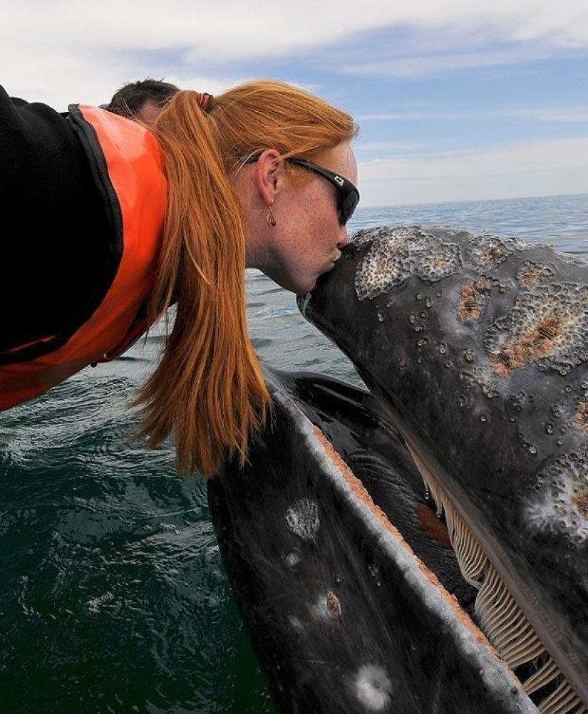 besa a la ballena