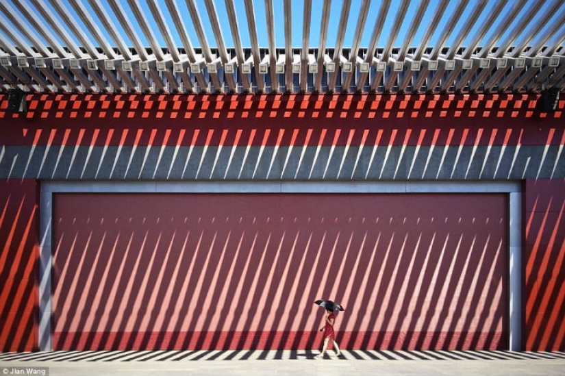 Best entries from the Smithsonian Photo Contest