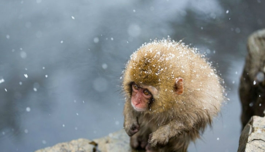 Best entries from the Smithsonian Photo Contest Best entries from the Smithsonian Photo Contest