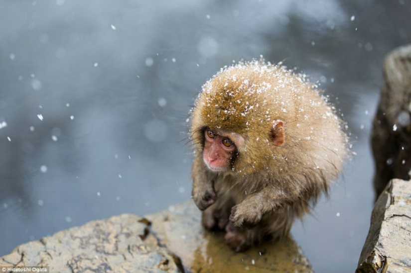 Best entries from the Smithsonian Photo Contest