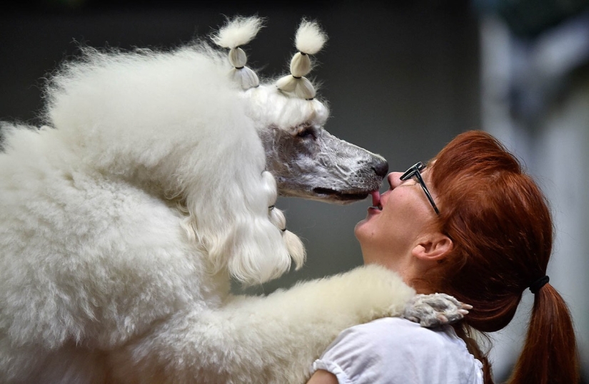 Best Kisses - 2014 Best Kisses - 2014