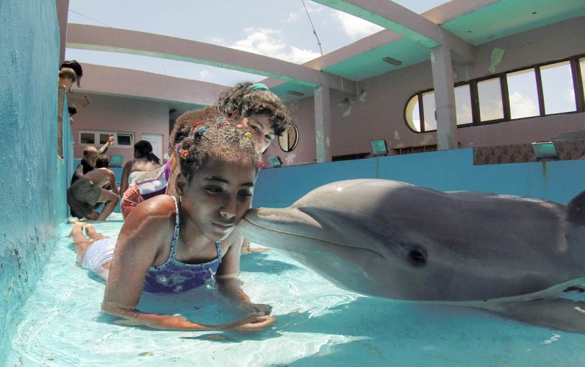 Best Kisses - 2014 Best Kisses - 2014