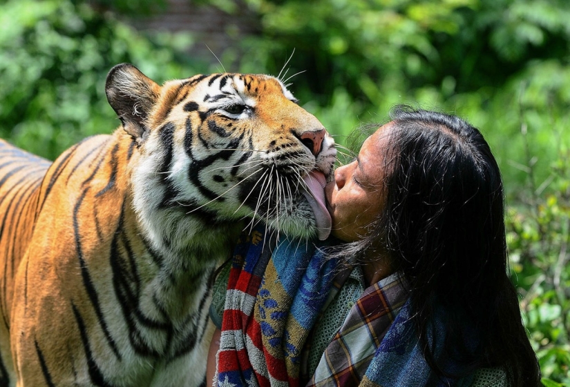 Best Kisses - 2014 Best Kisses - 2014