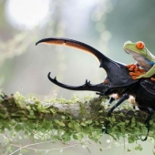 Best Photos from Sony World Photo Awards 2014 Best Photos from Sony World Photo Awards 2014