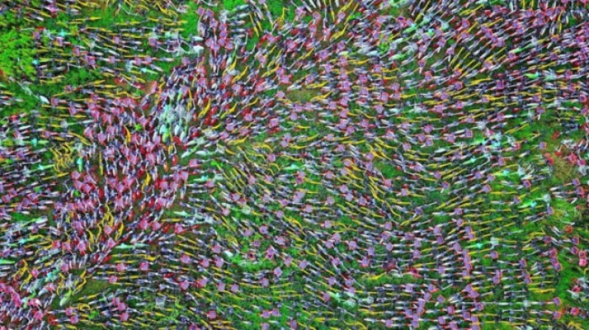 Bicycle Cemetery: what led to bike sharing in China Bicycle Cemetery: what led to bike sharing in China