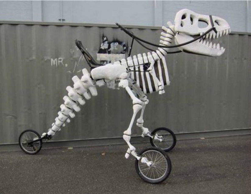 Bicycle ride on prejudices: the most unusual bike tuning Bicycle ride on prejudices: the most unusual bike tuning