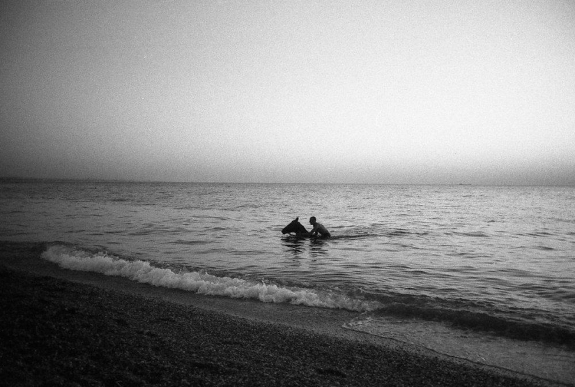 Black and white masterpieces by Alina Tarabarinova Black and white masterpieces by Alina Tarabarinova