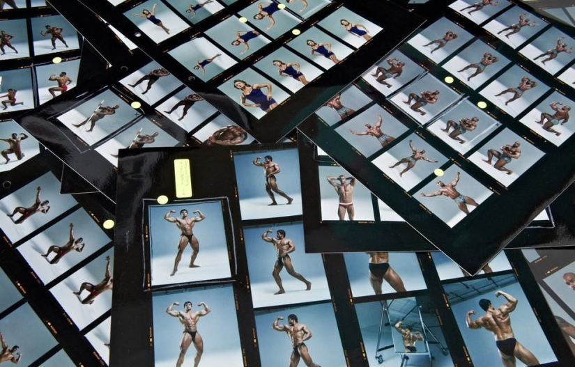 &quot;Bodybuilders&quot; by Dean Chalkley