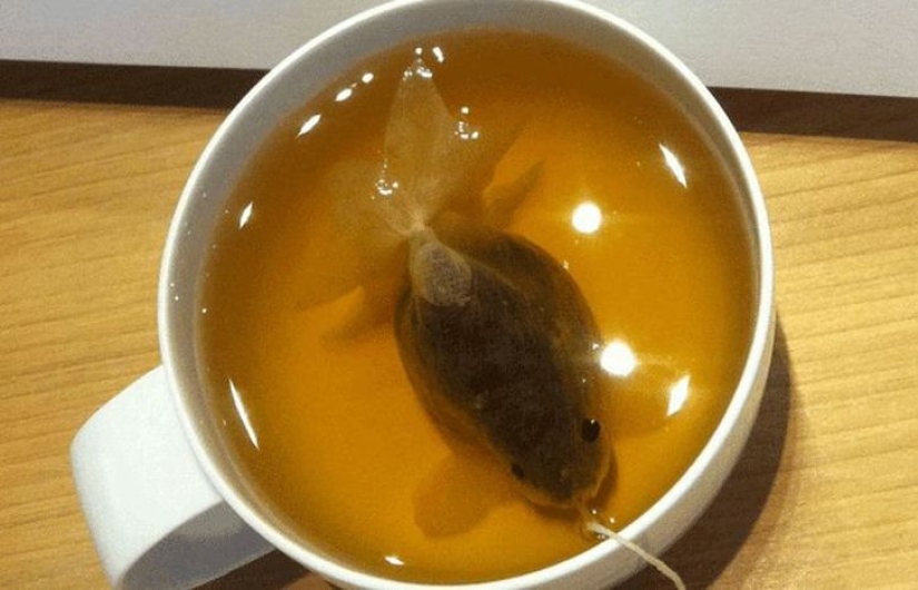 Bolsitas de té que se convierten en peces de colores en una taza Bolsitas de té que se convierten en peces de colores en una taza