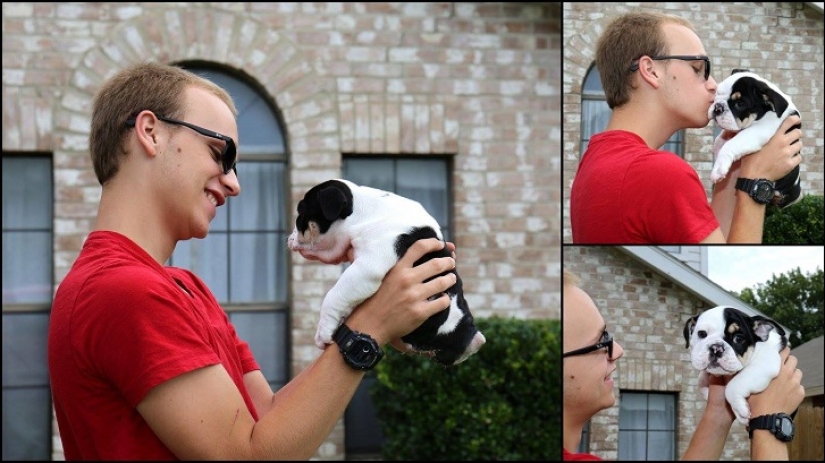 Bonsai - a dog that does not intend to give up