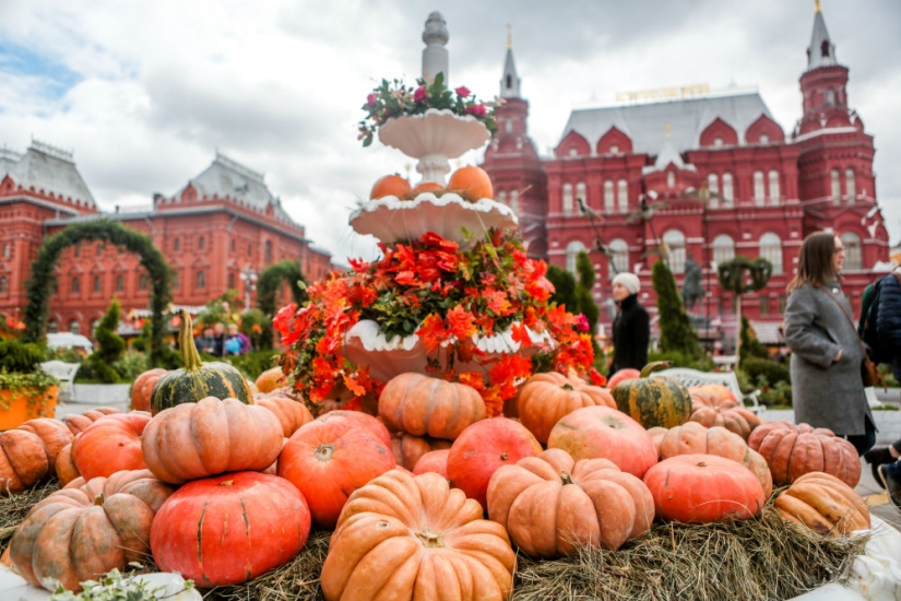 Both fish and meat! Gastronomic festival in Moscow!